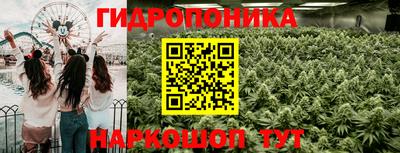 ПСИЛОЦИБИНОВЫЕ ГРИБЫ Северобайкальск