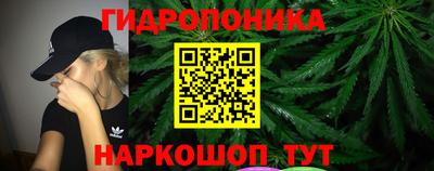 крисы Свободный