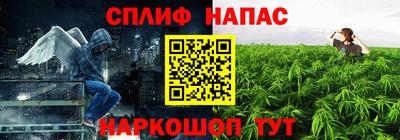 дмт Славянск-на-Кубани