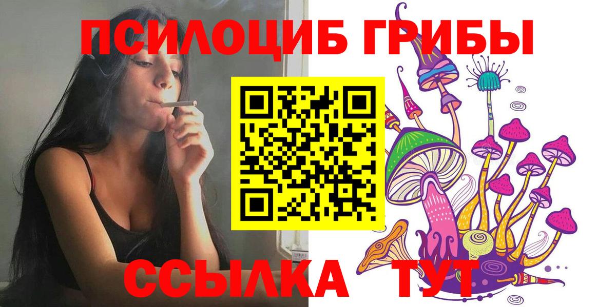 Псилоцибиновые грибы Cubensis  Вход с VPN  Белореченск 